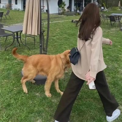 高更:爱在他乡