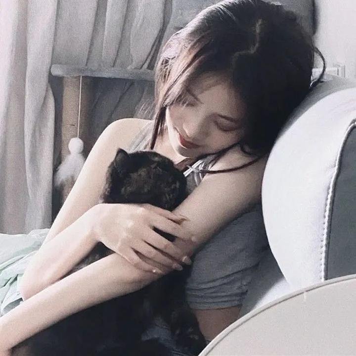 沉默的宫殿